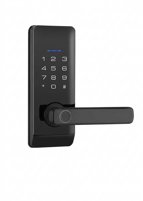 Smart Door Lock B Series